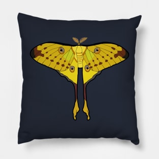 Comet Moth of Madagascar Pillow