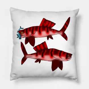 Draconichthys elegans Pillow