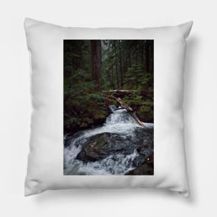 Lake 22 Trail Pillow