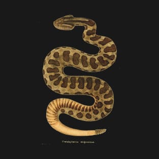 Western rattlesnake T-Shirt