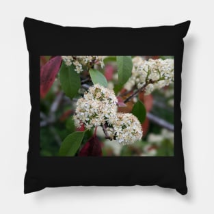 Tiny White Tree Flowers 2 Pillow