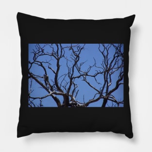 Branching out in Blue by Avril Thomas Pillow