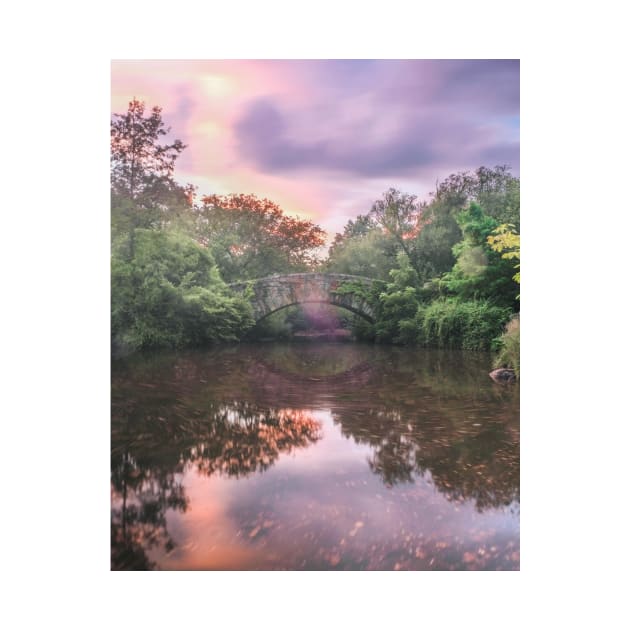 Central Park Sunset Reflection by igjustin