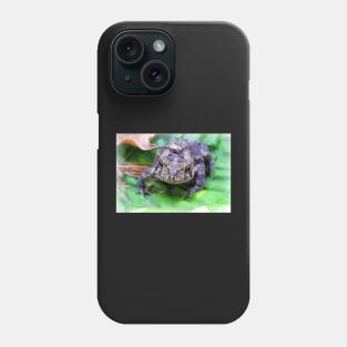 Toads, Nature Lover Gifts Photography Art Design Funny Toad Phone Case