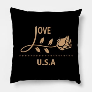 I Love USA Pillow