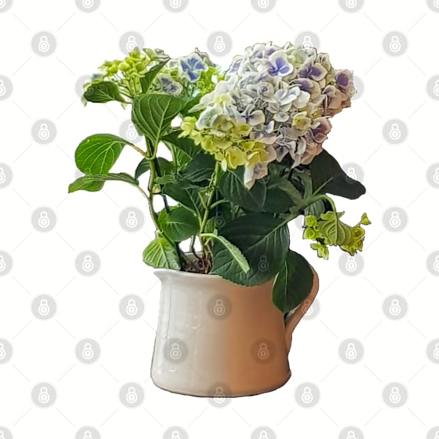 Blue Hydrangea Plant by ellenhenryart