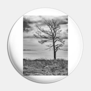 Lonely Tree Pin