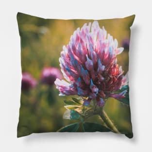 Petals in Sunlight Capture Red Clover's Elegance V2 Pillow