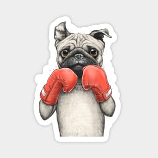 Pug boxer Magnet