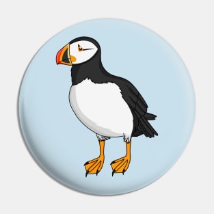 Atlantic puffin illustration Pin