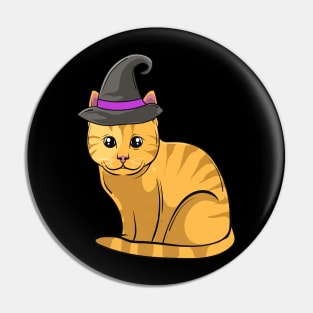 Cute cat with witch hat to scare children. Pin