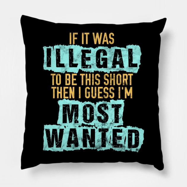 If it was illegal to be this short... Pillow by giovanniiiii