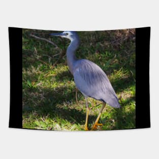 The White Face Heron! Tapestry