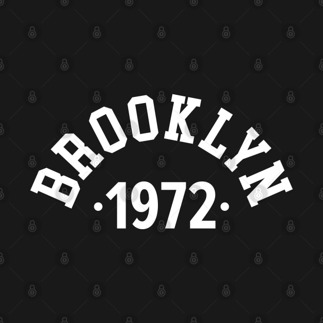 Brooklyn Chronicles: Celebrating Your Birth Year 1972 by Boogosh