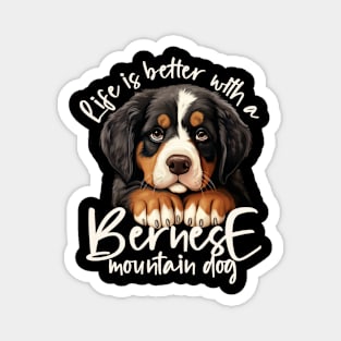 Bernese mountain dog Magnet