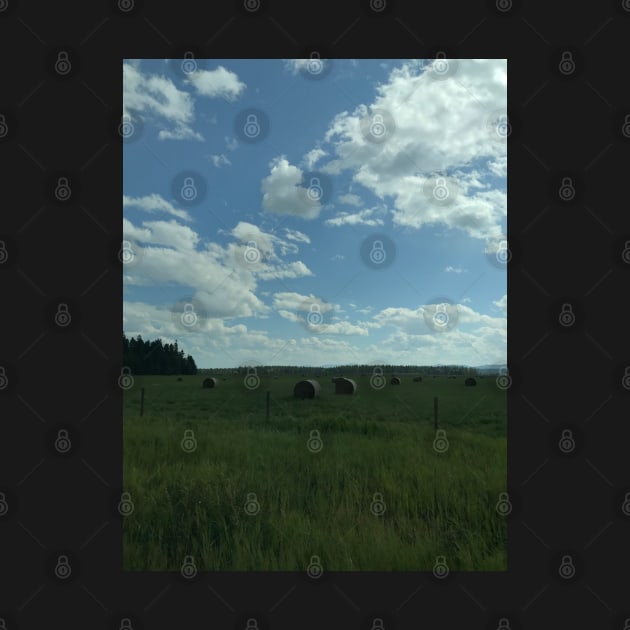 Rolls of Hay near Canadian & USA Border by Sparkleweather