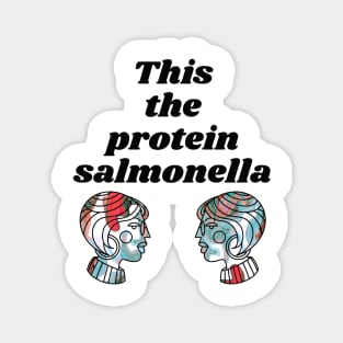 PROTEIN SALMONELLA - Funny Surreal Bad Translation Magnet