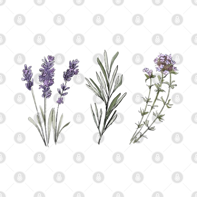 Provencal herbs by niaarts