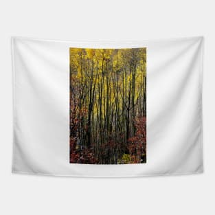 October Aspen Forest of Color Tapestry