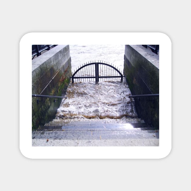 Thames, a Boat Gate near the Tower of London. Great Britain  2009 Magnet by IgorPozdnyakov