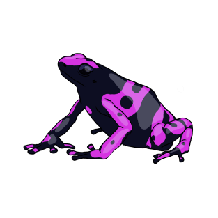 Pink Dart Frog T-Shirt