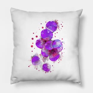 Staphylococcus aureus Pillow