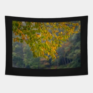 Colorful Leaves at Vogel State Park Tapestry