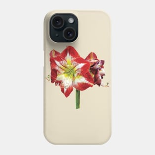 Amaryllis Minerva Phone Case