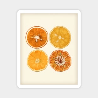 Retro Style Orange & Lemon Slice Art Magnet