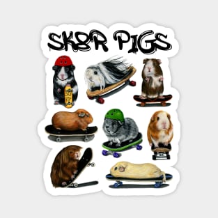 Sk8r Pigs Magnet