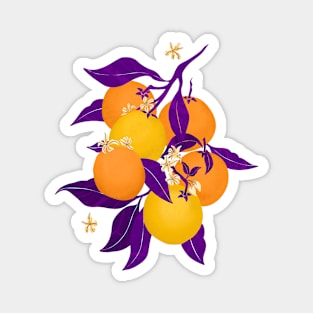 Oranges Magnet