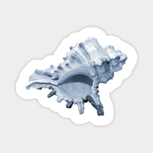 Grand blue conch seashell Magnet