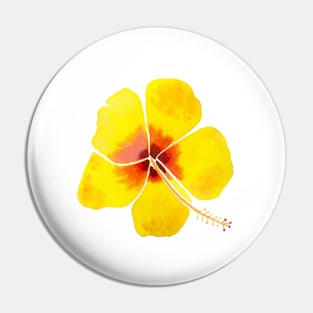 Yellow Hibiscus with a white background Pin