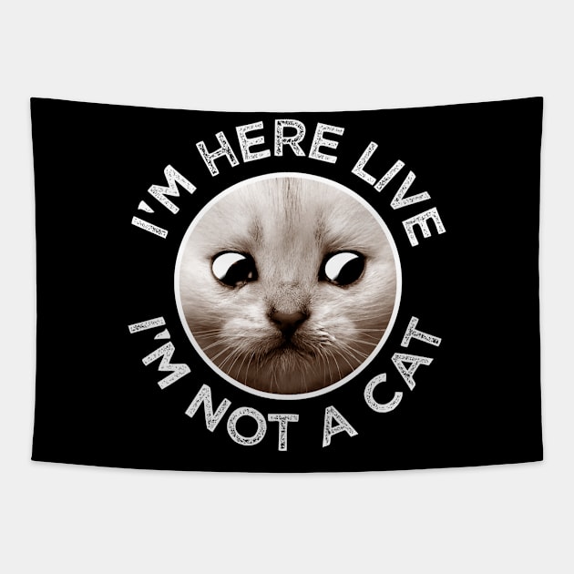 I'm Not A Cat Funny Lawyer Meme Tapestry by MintaApparel