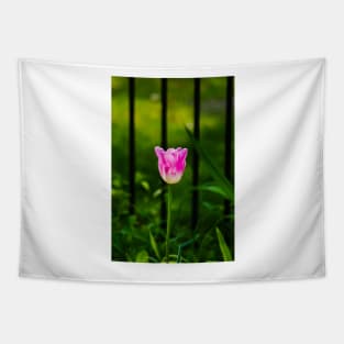 Sun Kissed Tulip Tapestry