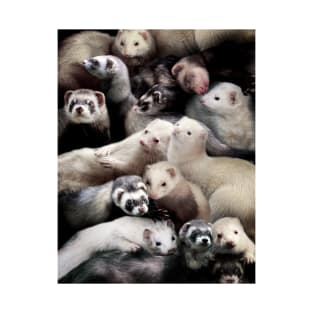 Ferrets T-Shirt