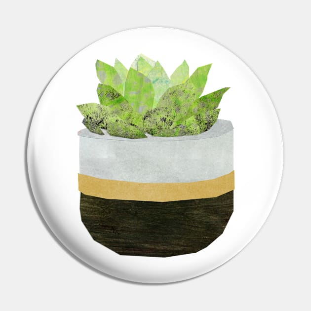 Houseplant - Echeveria Pin by Babban Gaelg