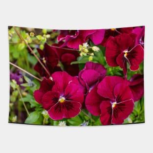 Purple pansies inspiring, beautiful flower Tapestry