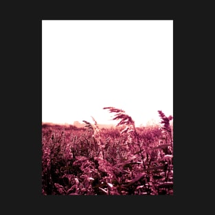 Fishbourne Reeds with red film effect - a windy day on the coast near Chichester, Sussex, UK T-Shirt