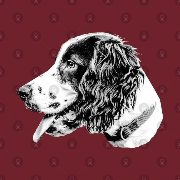 Black and white spaniel by dalyndigaital2@gmail.com