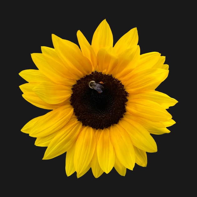 Happy Sunflower with Bee on Yellow by DandelionDays