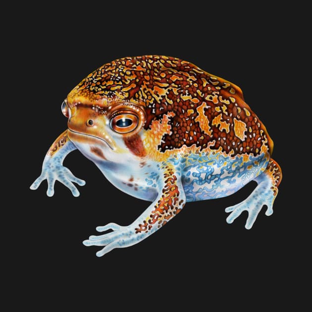 Desert Rain Frog by Tim Jeffs Art