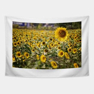 One Sunflower is Heads Above the Rest Tapestry