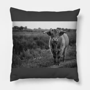 Rural Zen: Captivating Cow in Black & Gray Pillow