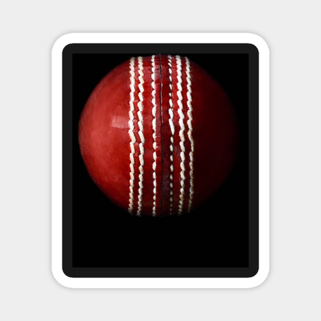 Cricket Ball Magnet by adrianbrockwell