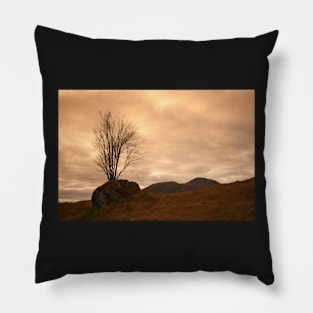 Rannoch Moor Pillow