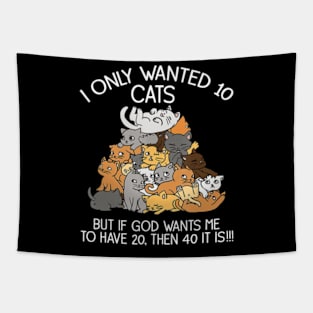 I Only Wanted 10 Cats But If God Wants Me To Have 20 Tapestry