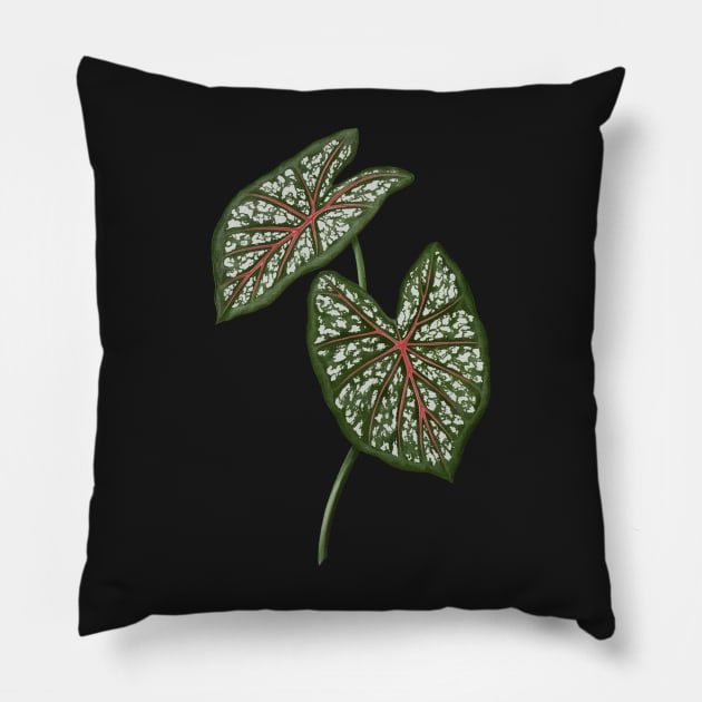 Caladium Galaxy Pink leaves Pillow by gronly