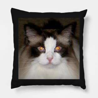 'Burning Bright' Pillow