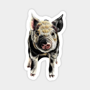 Piglet illustration Magnet